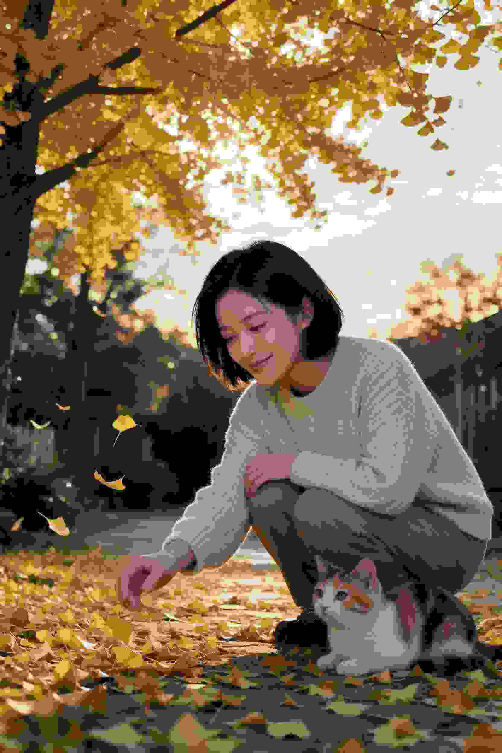 少年崛起
